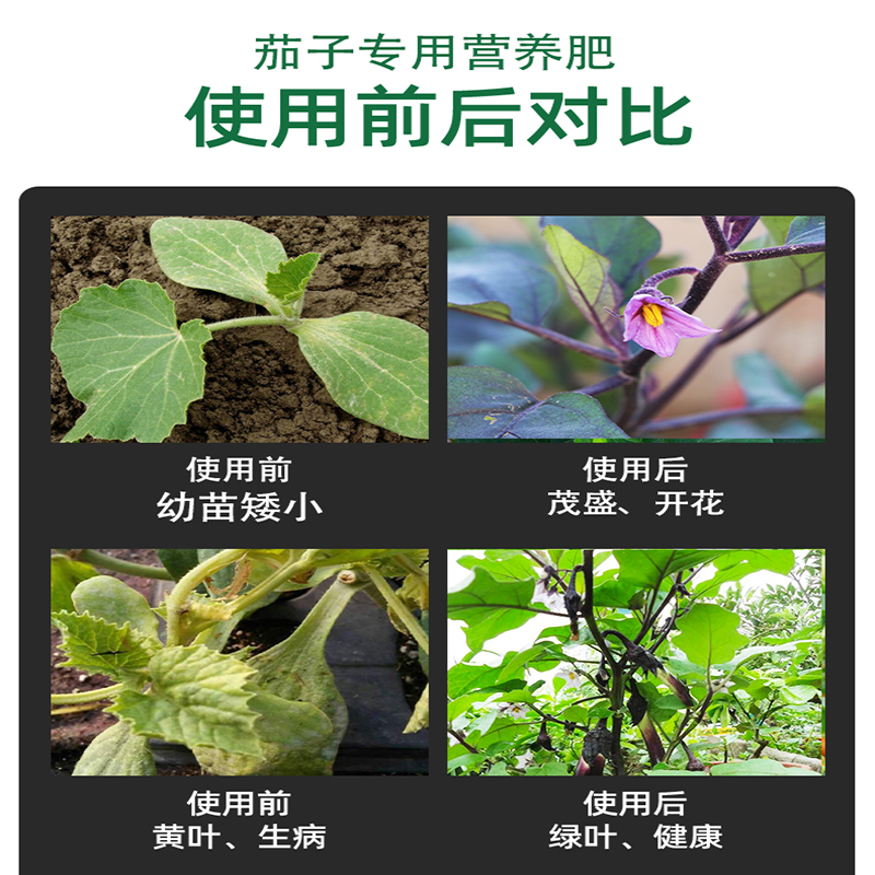 茄子专用肥料茄子有机肥复合肥番茄黄瓜辣椒开花结果种蕃茄生根保 - 图1