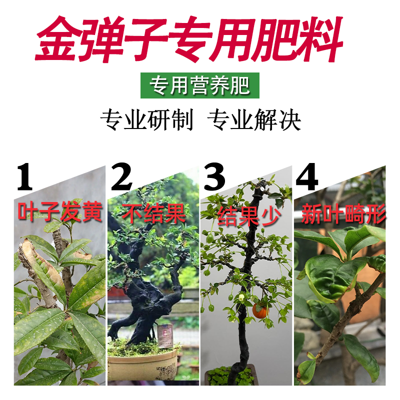 金弹子专用肥营养液金蛋子肥料生根粉盆景玉肥盆栽花肥老鸦柿土果,淘宝优惠券,粉丝福利购,淘宝优惠卷