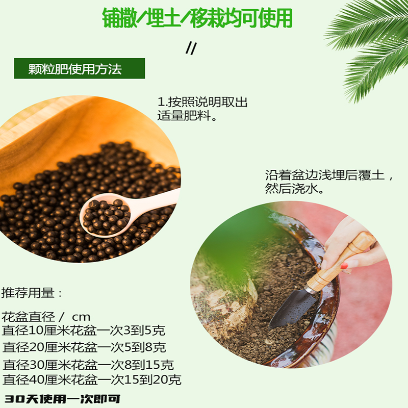 金弹子专用肥营养液金蛋子肥料生根粉盆景玉肥盆栽花肥老鸦柿土果,淘宝优惠券,粉丝福利购,淘宝优惠卷