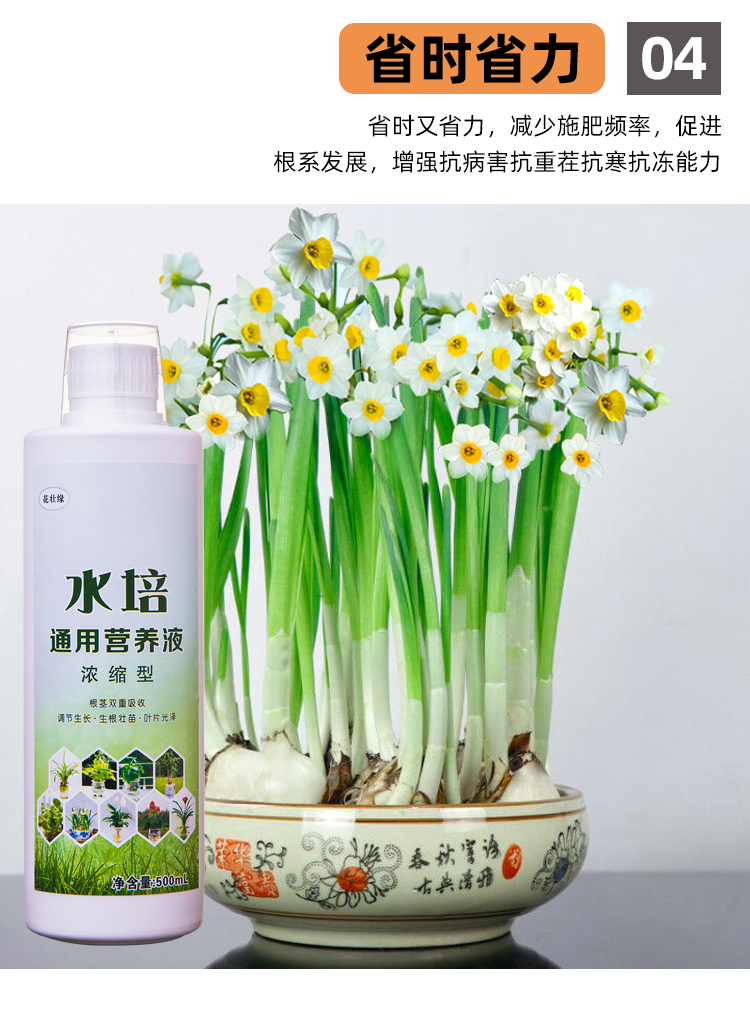 水培植物营养液富贵竹水养发财树花卉肥料花肥绿植蔬菜专用盆栽小