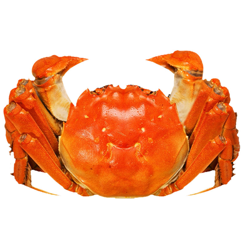 兴化大蟹红膏大闸蟹礼盒包装活螃蟹超大全母鲜活特大六月黄母蟹 - 图3