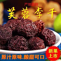 Fujian Fuante Yield Tan head Nai Qianqian Li Qianghae Yongtai Li Qianai Li Qianai Li Qianqian Sour Sweet Li Zi Dried 500g
