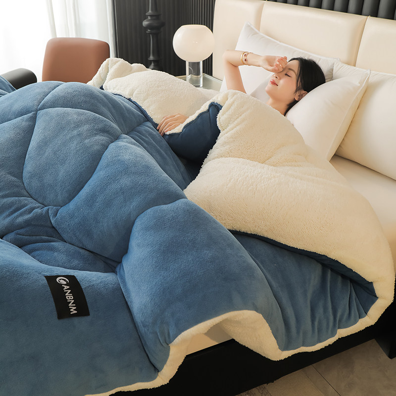 羊羔绒被子2025新款冬季棉被秋冬被加厚保暖10斤冬天宿舍单人被芯,淘宝优惠券,粉丝福利购,淘宝优惠卷