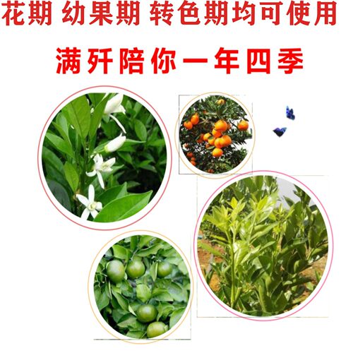 满歼红蜘蛛专用热销专利产品重庆中柑所生产不伤花不伤果正品保障 - 图1