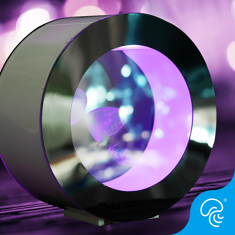 专业水母缸鱼缸水族箱活体家庭观海月赤月彩色樱桃水母缸鱼缸O型 - 图1