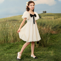 Girls puff sleeves dress cute princess skirt 2022 new summer Korean version of the western cake skirt childrens skirt