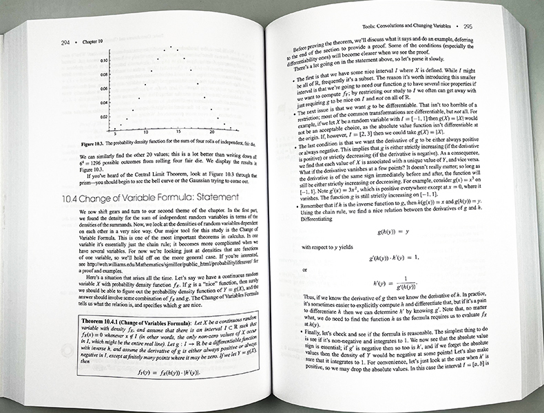 The Probability Lifesaver救命稻草的概率进口原版英文书籍-图1