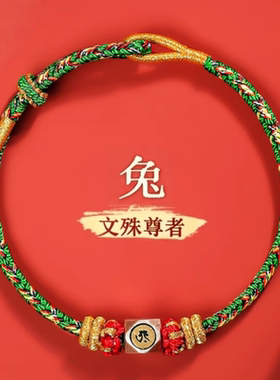 本命年生肖红绳八大守护绳手链微雕投影情侣手链同款手饰红绳手绳