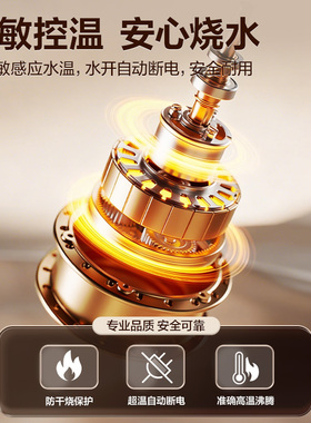 爱仕达电热水壶烧水壶316L不锈钢