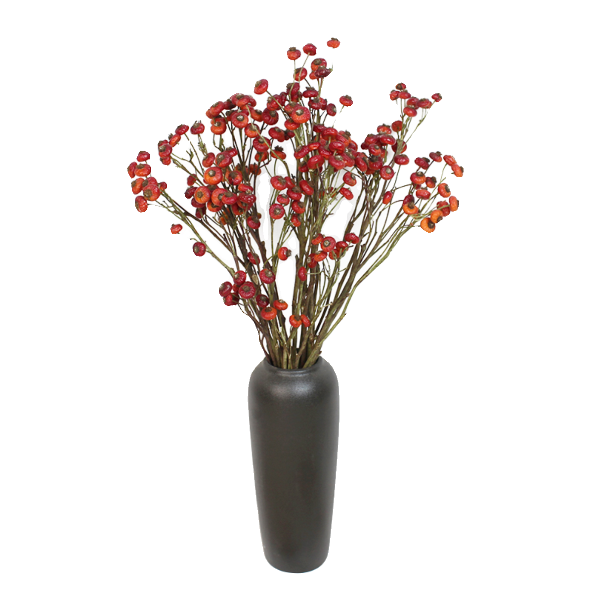 蔷薇果干花真果干枝红色家居软装摆设插画招财吉祥红果婚庆摆件 - 图3