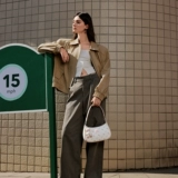 [Та же модель в Shen Yue] Nu Новая сумка для подмышки Pegasus 2025 Новая рабочая рука