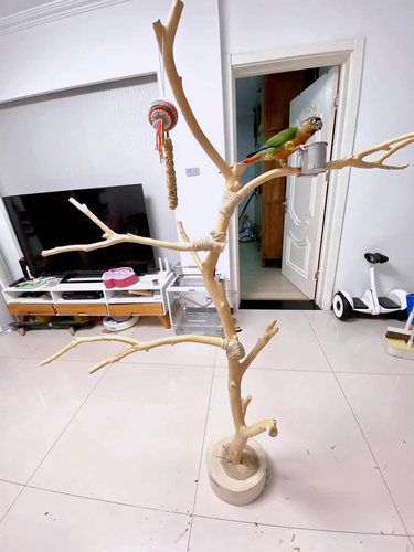 去皮干树枝原木灯架树杆枯木造型树杈橱窗装饰摆件鸟站架枯树杆 - 图1