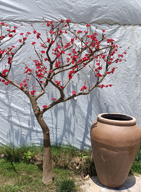 仿真梅花干树枝装饰客厅壁挂摆件
