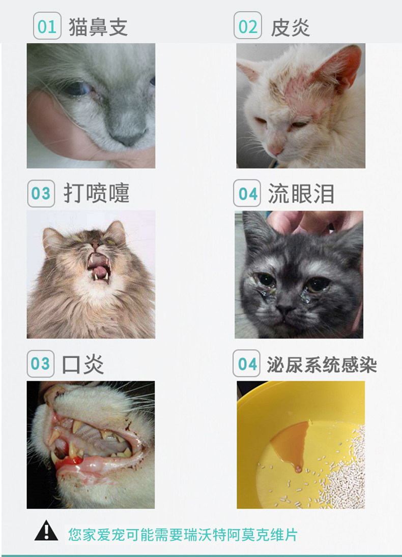 德国瑞沃特阿莫克维片宠物狗狗猫咪消炎感冒药口炎肠胃炎泌尿感染