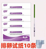 Article 10 Ovulation Test Paper Test Ovulation Eggs Period High Precision Follicle Precision Woman Pregnancy Theorizer Semiquantitative detector bar LH