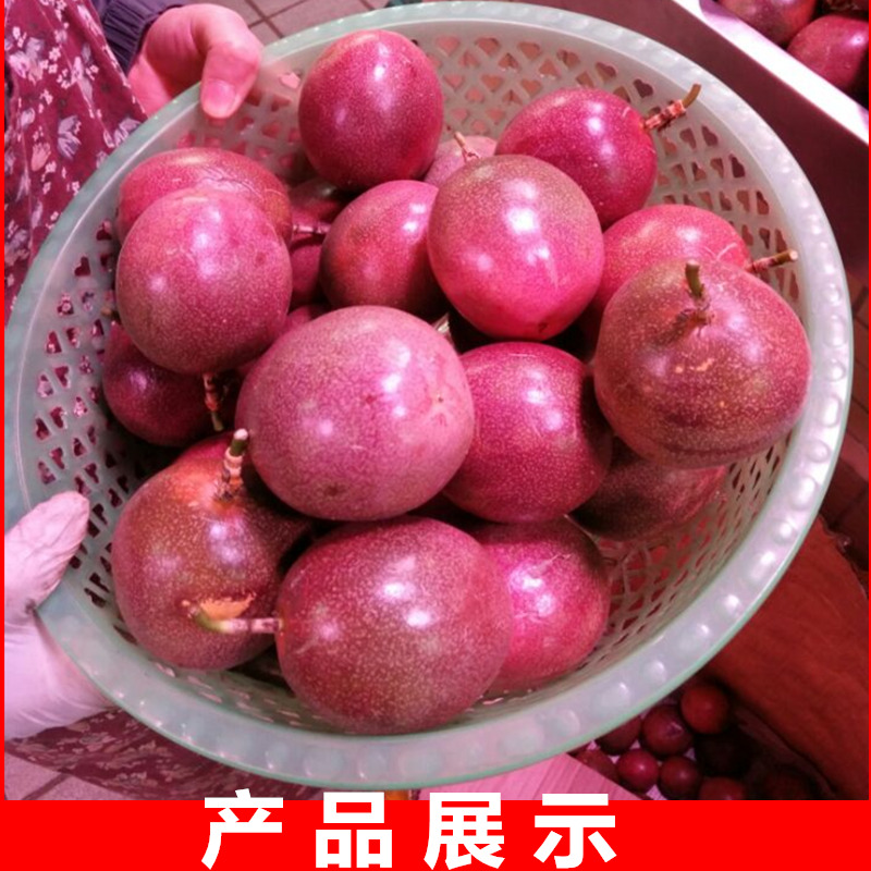 广西邮新鲜现摘正宗甜百香果图片_3