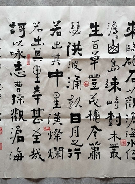 观沧海 王忠华手写个性创意书法办公室客厅茶室书房装饰字画