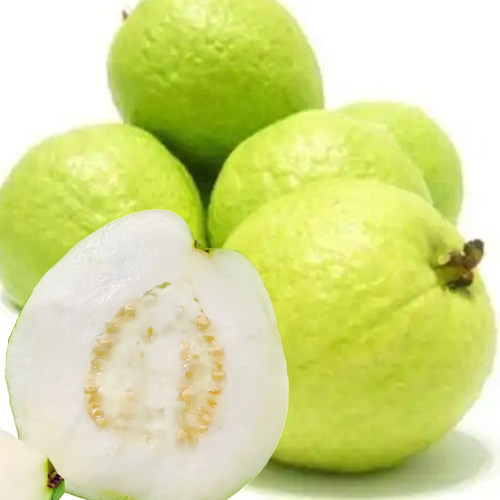 脆甜爽口番石榴白心芭乐果新鲜现摘广东当季水果硬脆巴乐5斤包邮 - 图2
