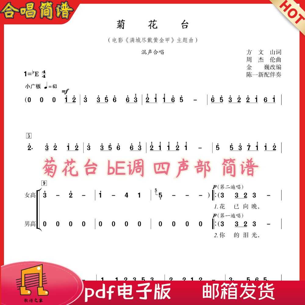 周杰伦菊花 新人首单立减十元 22年6月 淘宝海外