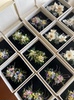 Original handmade ring immortal flower simulated flower wedding ring custom outdoor lawn garden wedding pair ring DIY