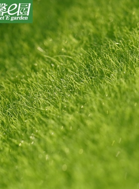 仿真假苔藓 苔藓微景观家居创意饰品 草坪苔藓 假草皮