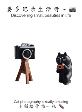 可爱拍照猫咪摄像机三脚架车载饰品车内摆件治愈系小摆件相机