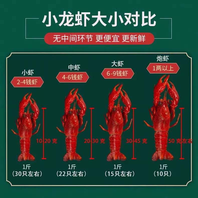 两斤大中小号小龙虾鲜活湖北青红壳特大龙虾水产淡水清水现捞活虾 - 图0