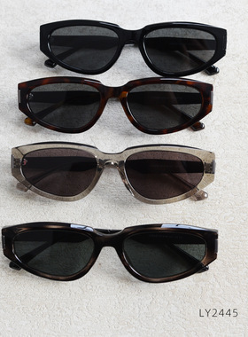 LY2445韩系大框TR90偏光太阳眼镜潮男女复古街拍显脸小墨镜防紫外