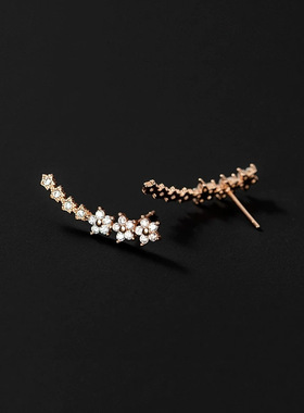 Starry Sky with Diamond Earrings甜美气质满天星镶钻耳钉耳环女