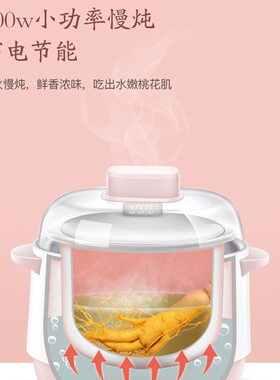 跨境Electric stew pot电炖锅家用陶瓷隔水燕窝煲汤养生盅砂锅