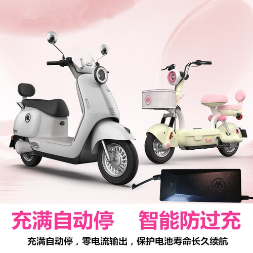 爱玛电动车充电器原装正品48V60V72V/12AH20AH3A原厂电瓶车充电器 - 图2