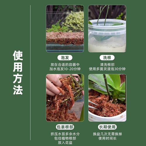 智利进口水苔毛毛虫水苔干苔藓兰花营养土乌龟冬眠垫材蝴蝶兰专用 - 图3