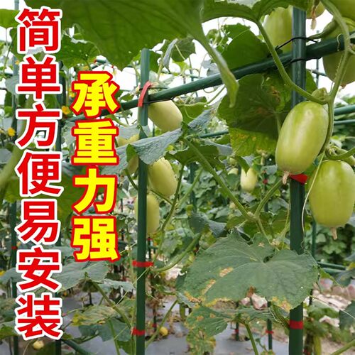 包塑钢管园艺支架豆角黄瓜爬藤支撑杆花园庭院植物番茄固定爬藤架 - 图0