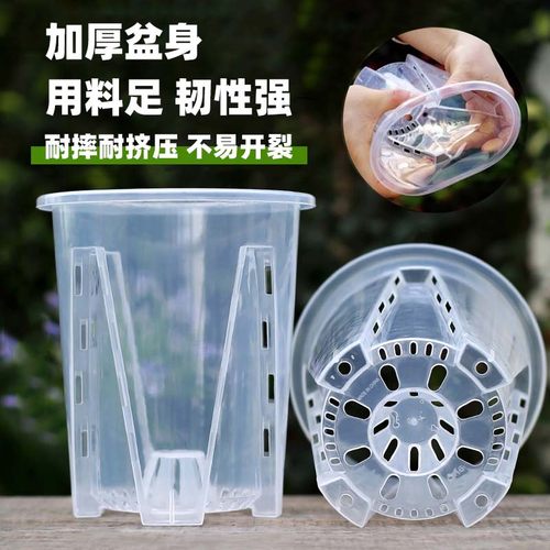 蝴蝶兰专用透明控根盆兰花花卉石斛水苔大号家用塑料透气镂空花盆 - 图1