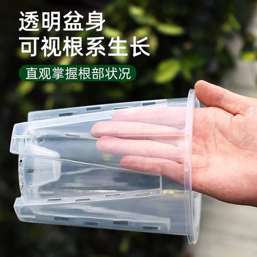 蝴蝶兰专用透明控根盆兰花花卉石斛水苔大号家用塑料透气镂空花盆 - 图0