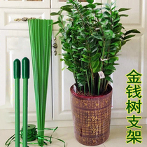 Money Tree Support Rod Flower Pot holder Rod Indoor Melon Fruits Flowers Botanical Garden Art Flower Shelf Climbing and fixing Tying Rod
