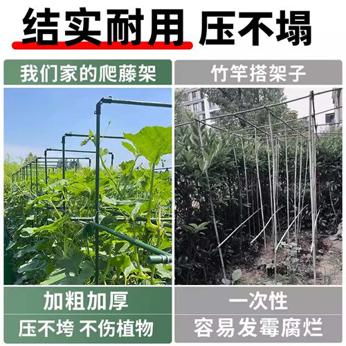 包塑钢管园艺支架豆角黄瓜爬藤支撑杆花园庭院植物番茄固定爬藤架 - 图1