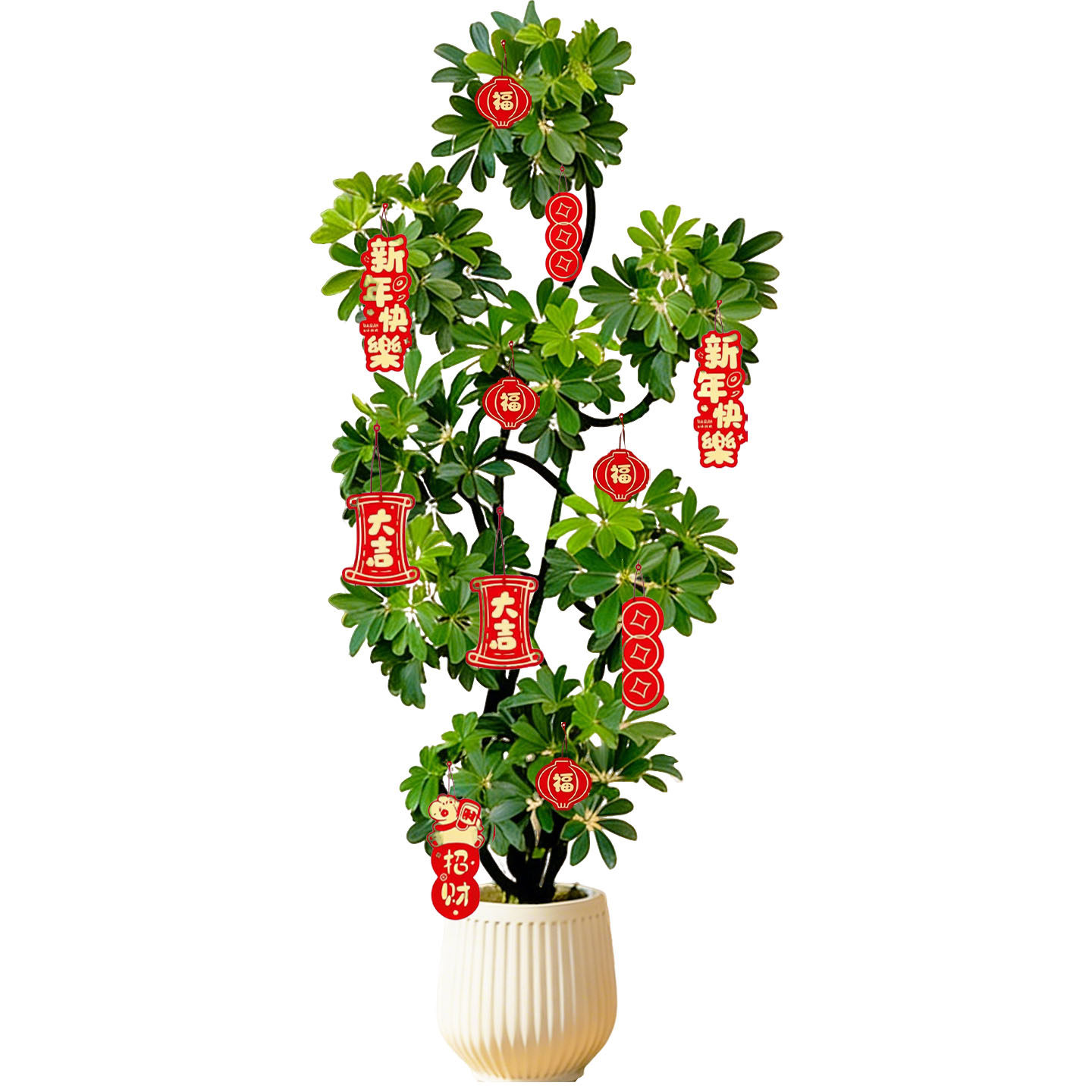 造型鸭脚木客厅大盆栽鸭掌木鹅掌柴室内乔迁绿植植物大型落地四季,淘宝优惠券,粉丝福利购,淘宝优惠卷