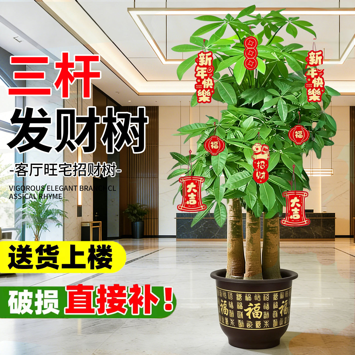 步步高发财树客厅盆栽大型室内绿植招财树办公室乔迁开业落地植物,淘宝优惠券,粉丝福利购,淘宝优惠卷