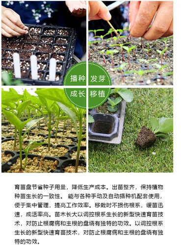 Точечная тарелка Оптовые саженцы, ящик для размножения саженцев, кастрюля саженцев, кастрюля саженца, кастрюля для рассады, пластиковые саженцы, саженцы, саженцы, ящик для мульти -жила