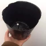 Цветочная горшка питательная чаша для детской пакет с питанием питание чашка питания питания