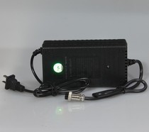 Lithium electric charger new full of self-stop constant flow constant pressure polymer lithium iron phosphate multifunctional general power supply