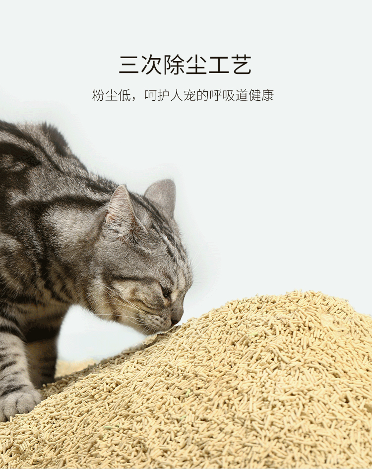 天然植物豆腐猫砂除臭低粉尘 绿茶/原味/芦荟猫 8L大