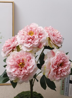橘梦仿真花花艺牡丹花白色假花