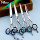 Jungle Leopard Hairstylist Scissors