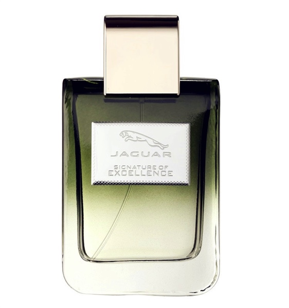 法国Jaguar Signature of Excellence 捷豹优异签名男士香水100ml - 图0