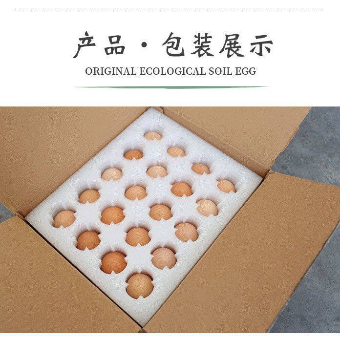 快大型青脚麻鸡种蛋受精蛋可孵化小鸡蛋受精种蛋自然受精土宠物鸡,淘宝优惠券,粉丝福利购,淘宝优惠卷