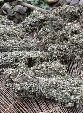 野生艾叶艾草泡脚艾条金银花藤