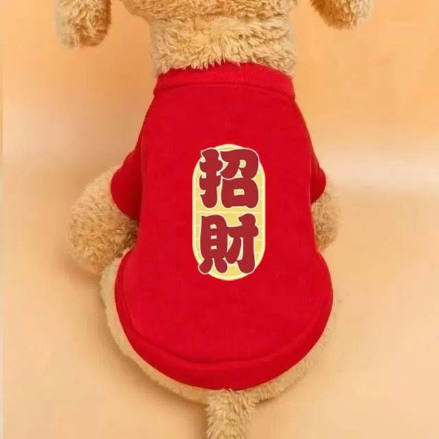 New year festive new puppy autumn and winter plus velvet