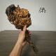 Pine wood, northern agarwood, natural logs, weathered wood ornaments, amber wood artifacts, handpieces, aged materials, high oiliness